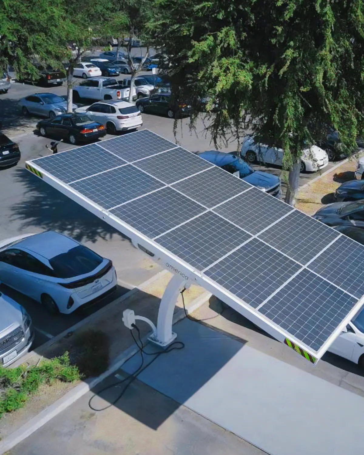 Eléctrico de principio a fin